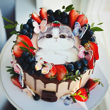 Торт "Котенок" купить - старыйоскол.сладкоежкин.рф